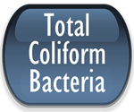 Total Coliform Bacteria
