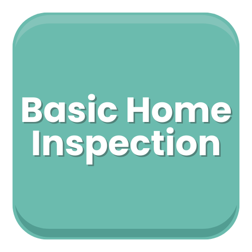 Basic Home Inspection
