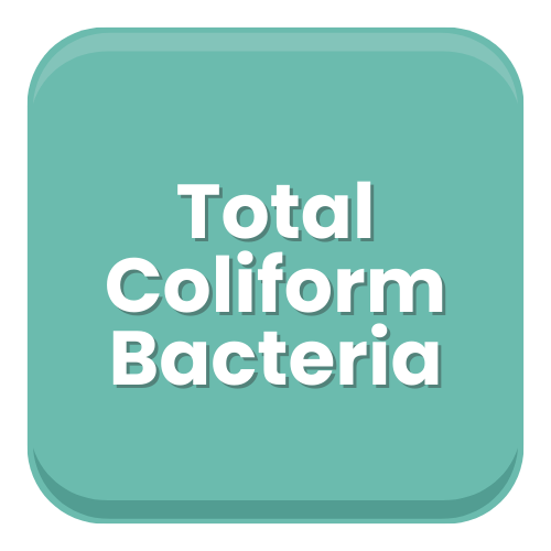Total Coliform Bacteria